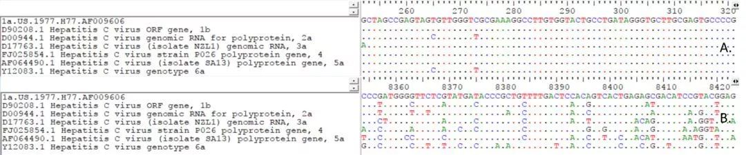 A.5’端非編碼區序列;B.NS5序列